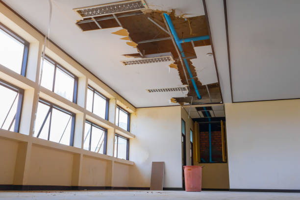 Best Water damage contractors near me  in Hayward, WI