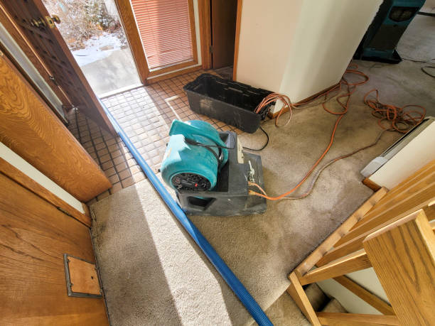 Best Water damage restoration experts  in Hayward, WI