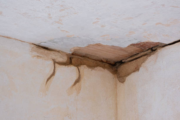 Best Emergency water damage restoration  in Hayward, WI