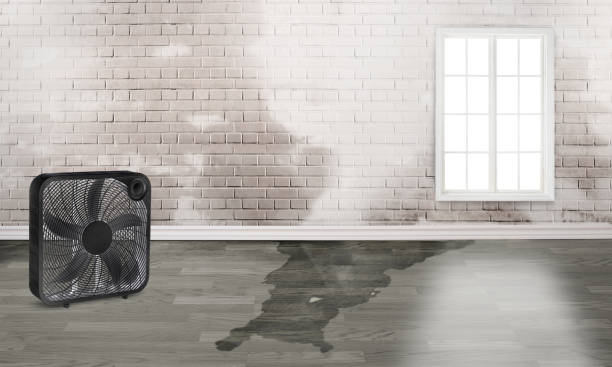 Best Commercial water damage restoration  in Hayward, WI