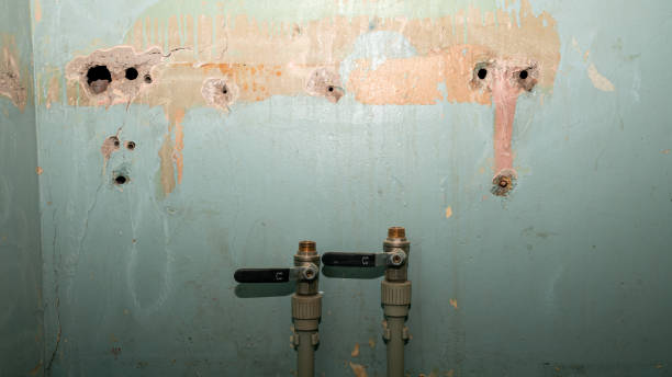 Best Mold removal after water damage  in Hayward, WI