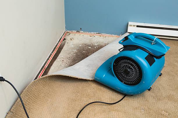 Best Water damage cleanup near me  in Hayward, WI